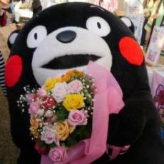 kumamon