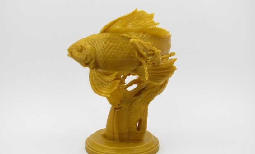 锦鲤 3D打印实物照片