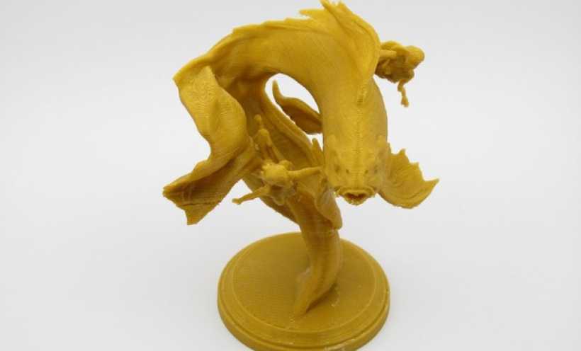 锦鲤 3D打印实物照片