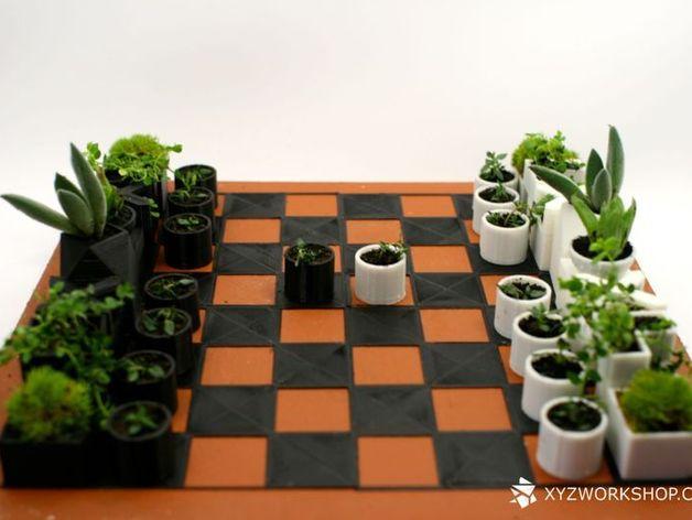 小型植物棋盘