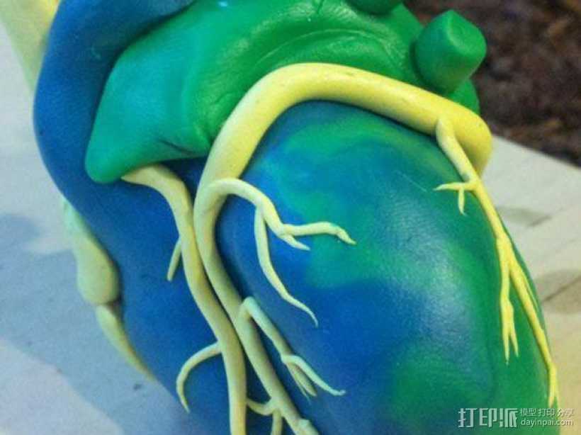 心脏解剖实物模型 3D打印模型渲染图