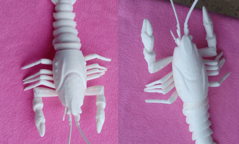 龙虾 3D打印实物照片
