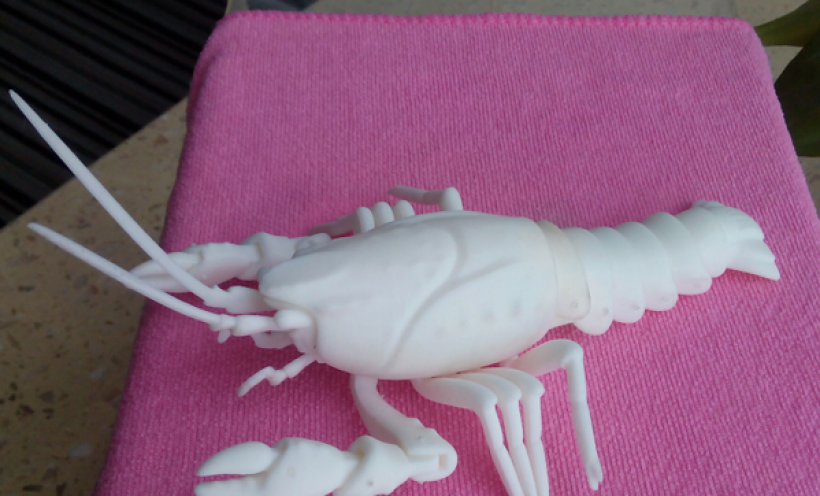 龙虾 3D打印实物照片