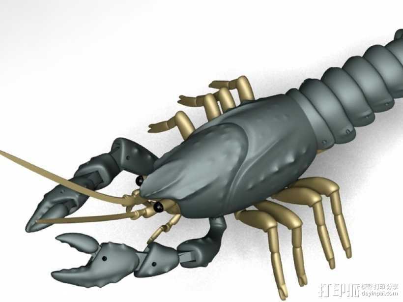 小龙虾 3D打印模型渲染图