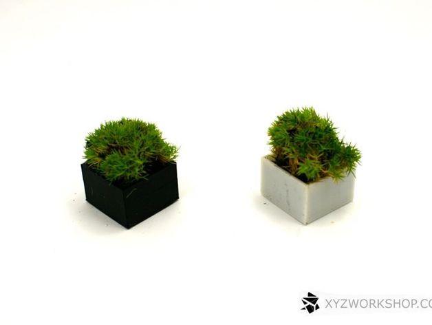 迷你植物象棋