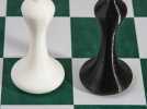 斯顿汤国际象棋模型1