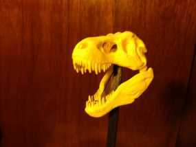 恐龙玩偶Rex模型