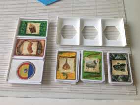 卡坦岛游戏卡盒模型