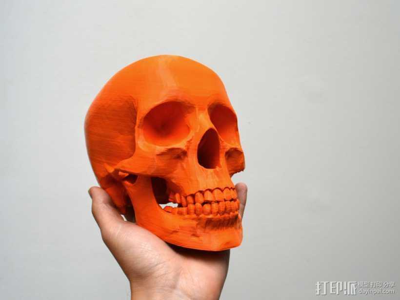 人头头骨 3D打印模型渲染图