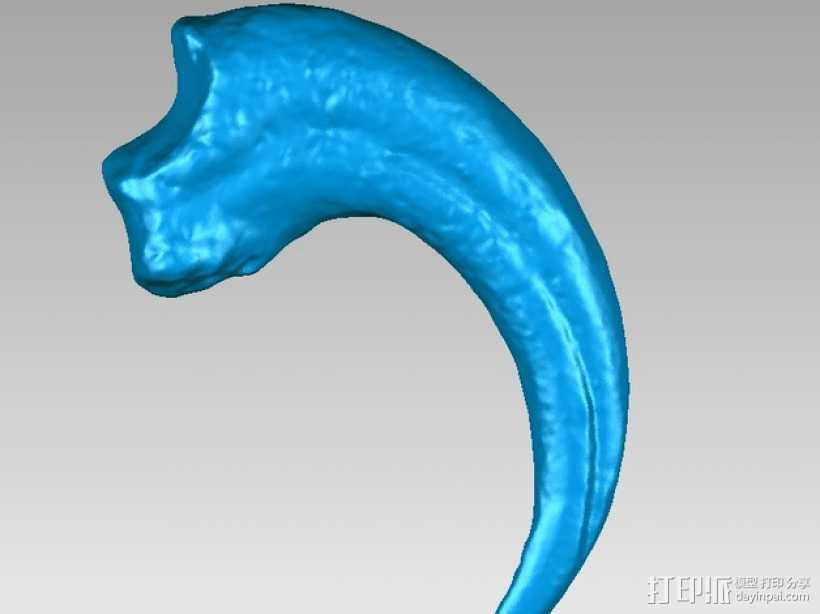 迅猛龙龙爪 3D打印模型渲染图