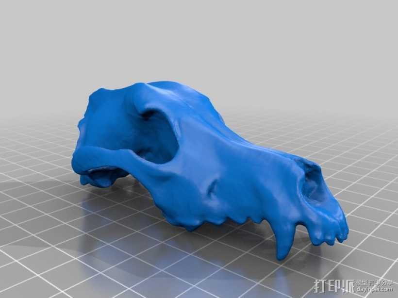 德国牧羊犬头骨 3D打印模型渲染图