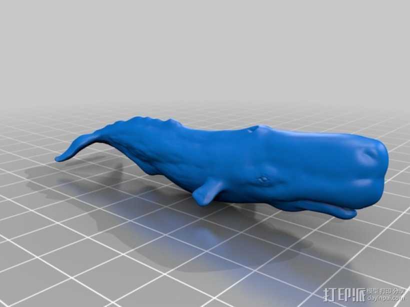 鲸 3D打印模型渲染图