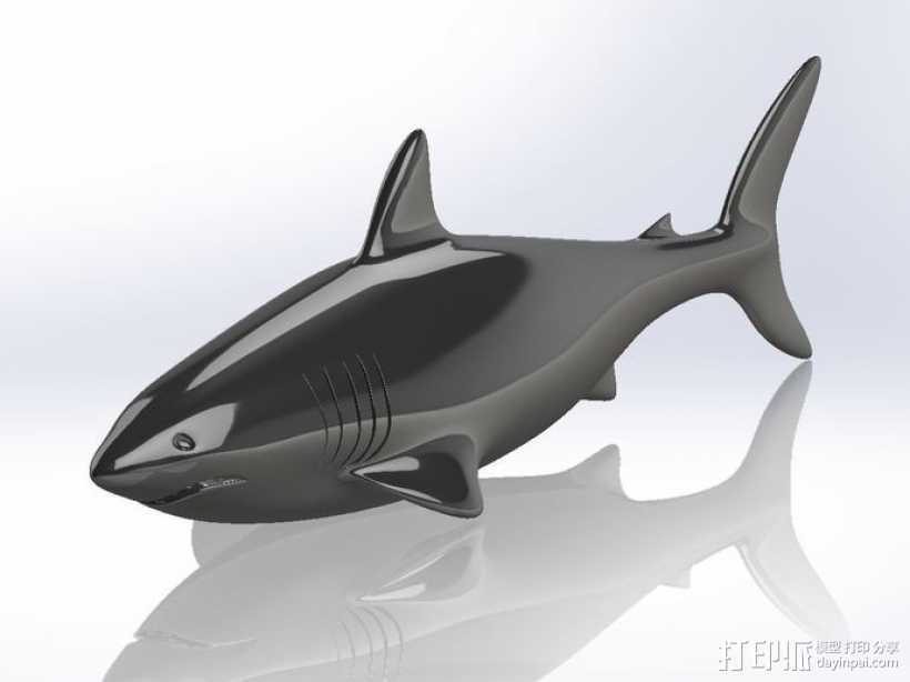 鲨鱼  3D打印模型渲染图