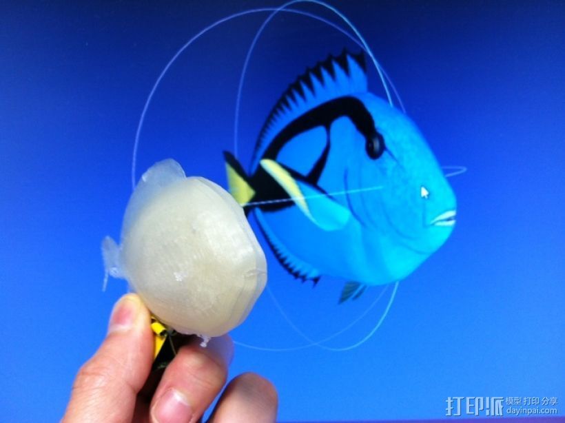 热带鱼  3D打印模型渲染图