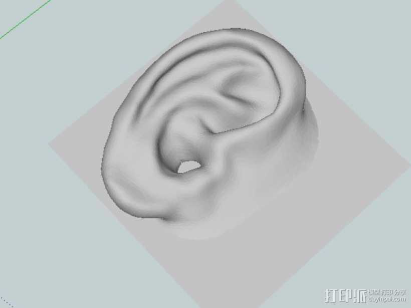 耳朵 3D打印模型渲染图