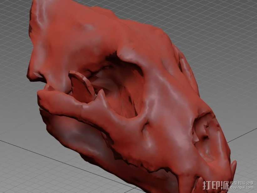 狮子头骨 3D打印模型渲染图