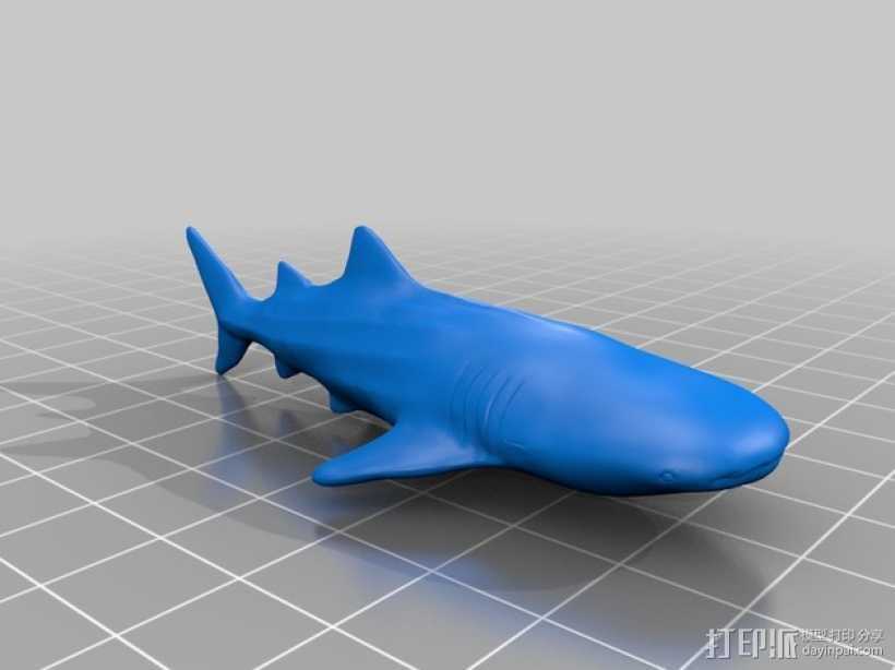 鲸鲨 3D打印模型渲染图