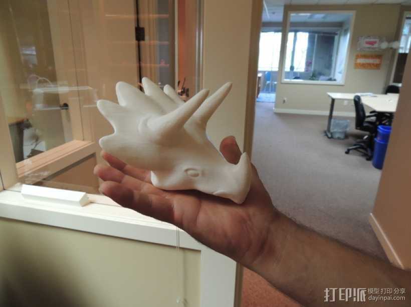 三角龙头部模型 3D打印模型渲染图