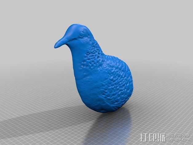 斑鸠 3D打印模型渲染图