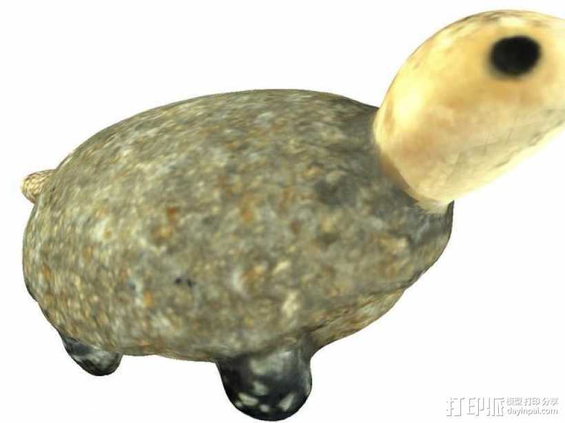 海龟  3D打印模型渲染图