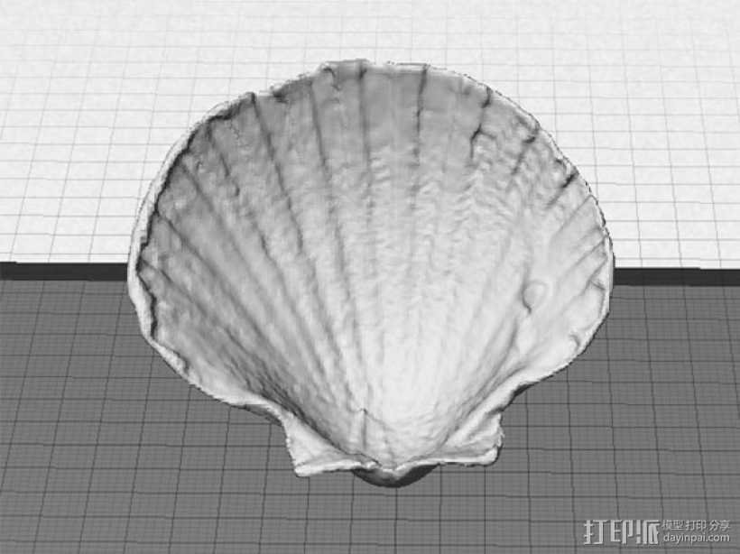 海贝壳 3D打印模型渲染图