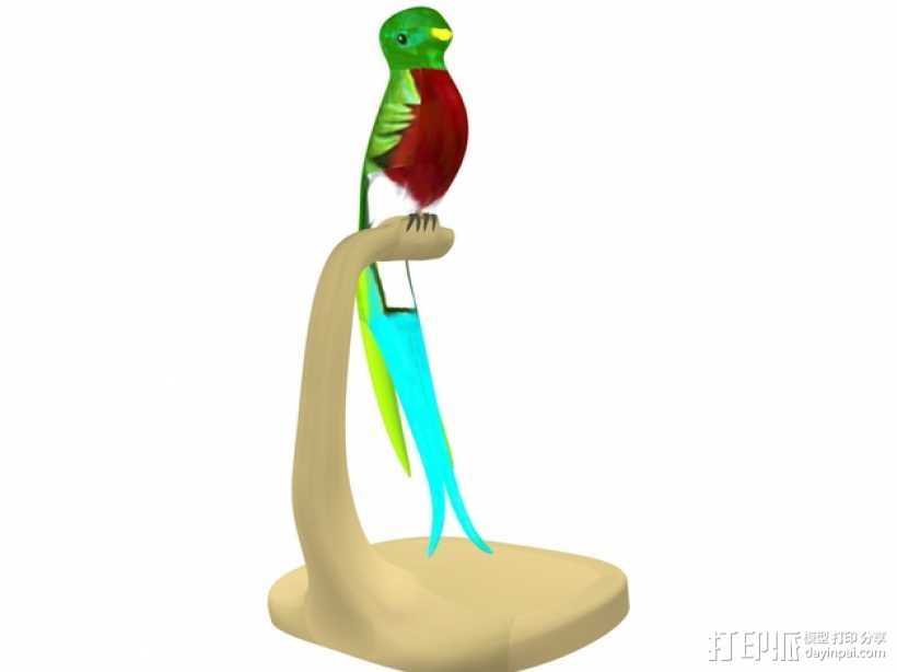绿咬鹃 3D打印模型渲染图