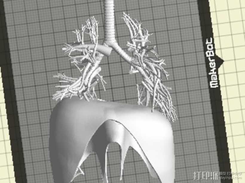 肺 3D打印模型渲染图