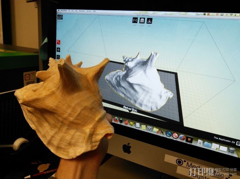 海螺壳 3D打印模型渲染图