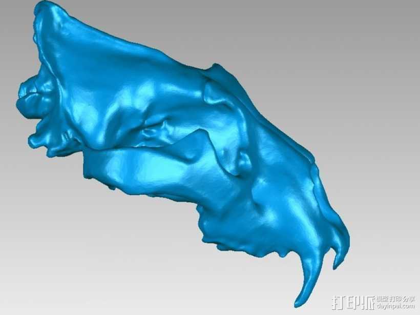 狮子头骨 3D打印模型渲染图