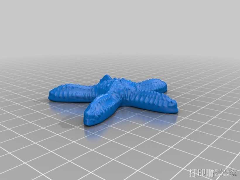 海星 3D打印模型渲染图