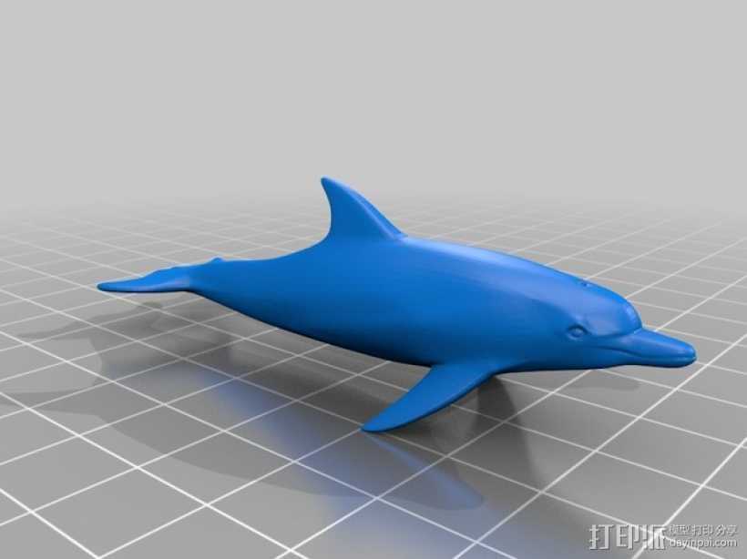 海豚 3D打印模型渲染图
