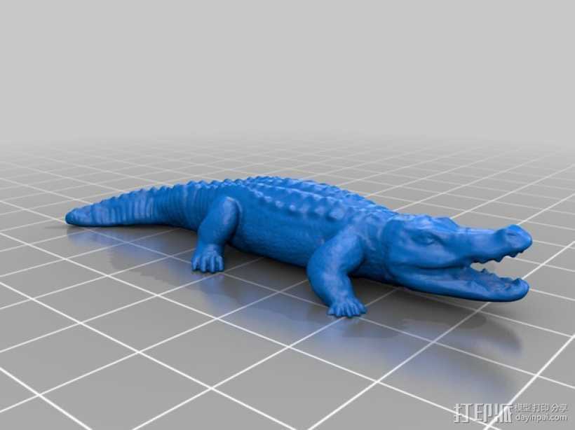 鳄鱼 3D打印模型渲染图
