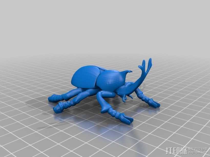 甲虫 3D打印模型渲染图