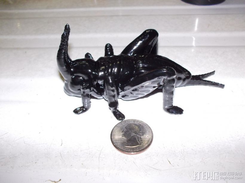 蟋蟀 3D打印模型渲染图