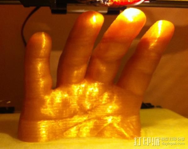 手 四指 3D打印模型渲染图