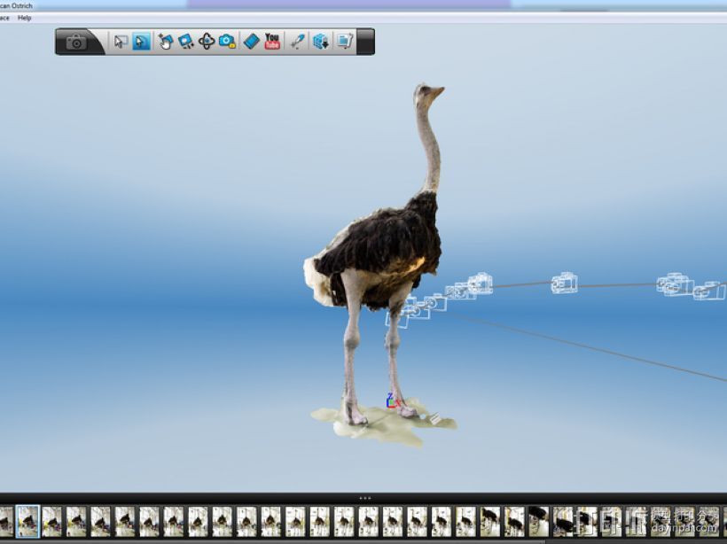 非洲鸵鸟 3D打印模型渲染图