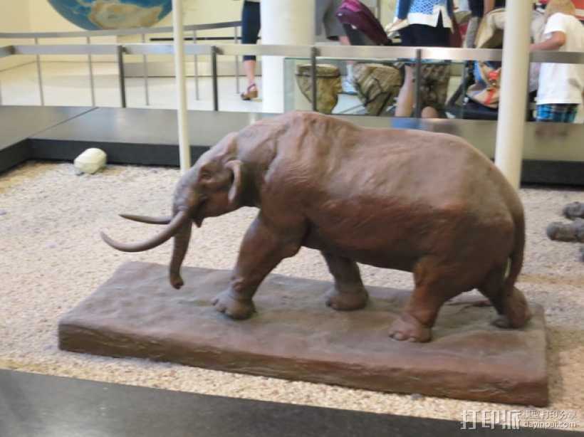 美洲乳齿象 3D打印模型渲染图
