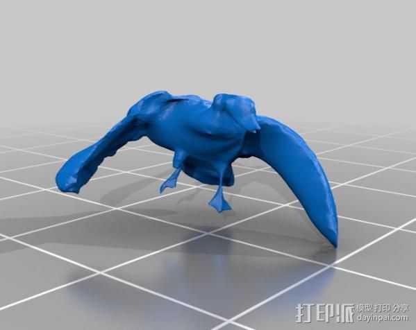 鸟 野鸭  3D打印模型渲染图