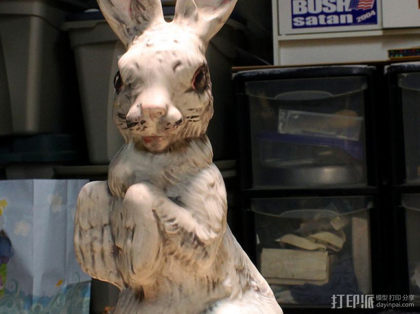 野兔 兔子  3D打印模型渲染图