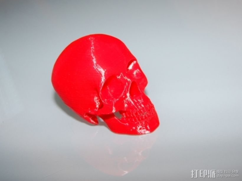 头骨模型 3D打印模型渲染图
