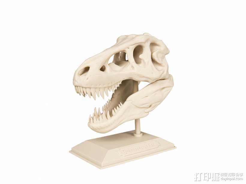 恐龙头骨 3D打印模型渲染图