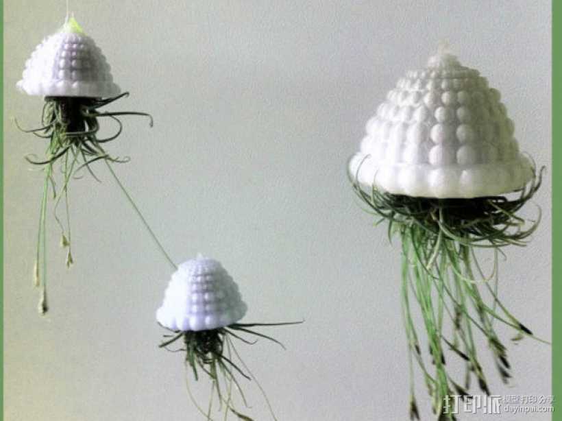 ”空中水母“装饰品模型 3D打印模型渲染图