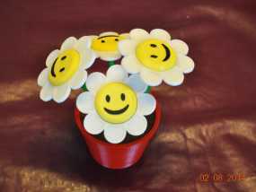 笑颜花和花盆