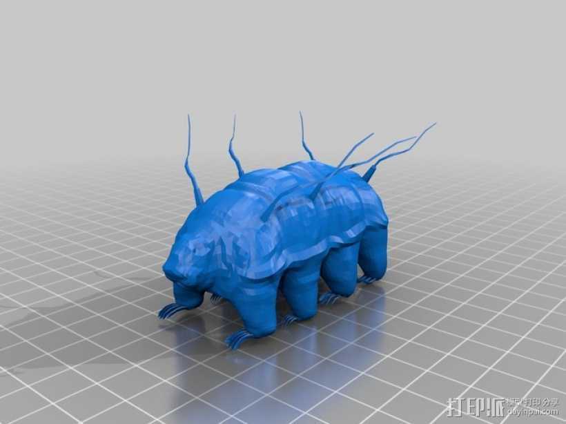 水熊虫  3D打印模型渲染图
