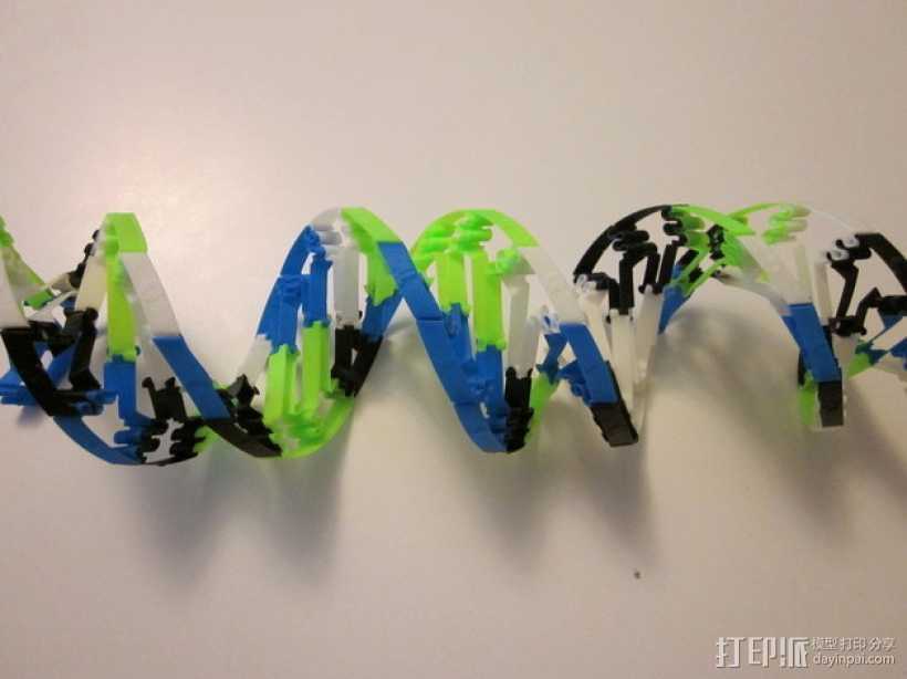 DNA玩具 3D打印模型渲染图