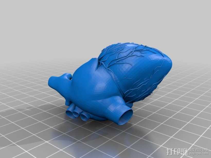 心脏 3D打印模型渲染图