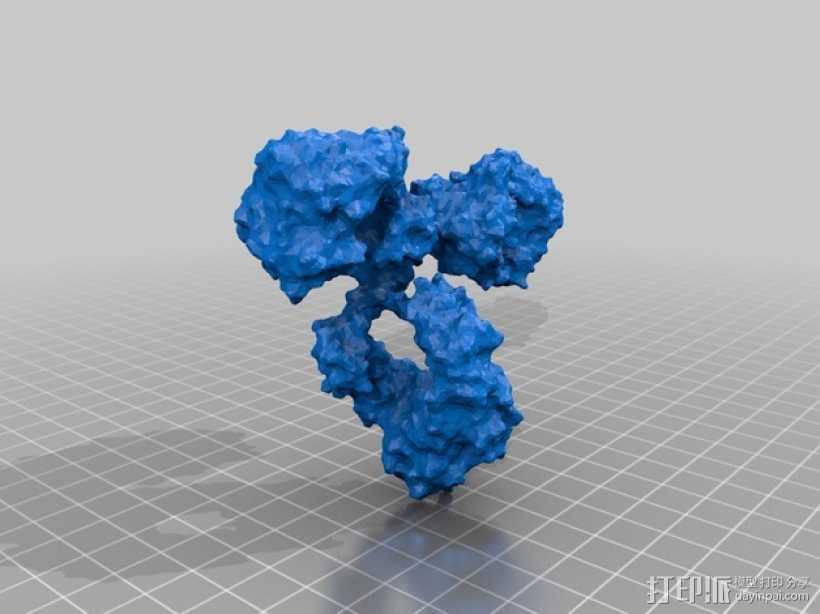免疫球蛋白分子模型 3D打印模型渲染图