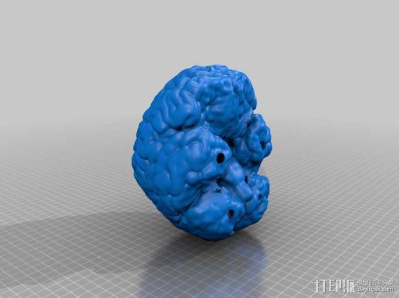 大脑 模型 3D打印模型渲染图