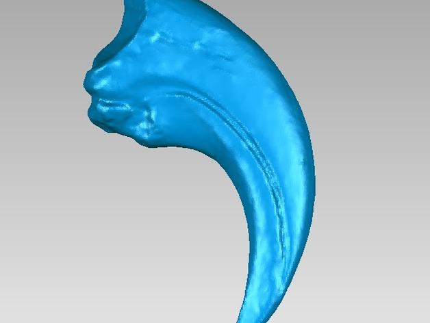 恐龙爪模型