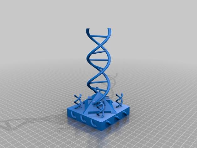 双螺旋DNA分子模型